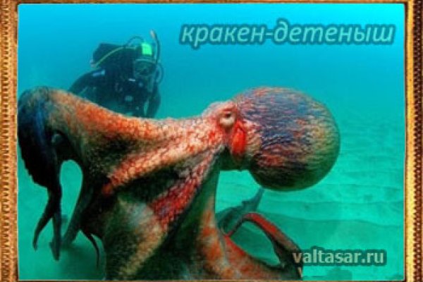 Кракен маркетплейс москва видео