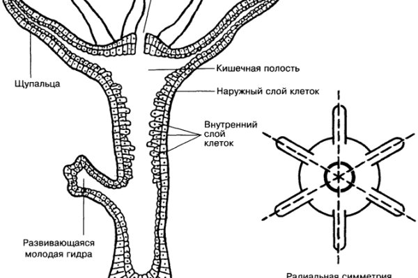 Кракен официальный