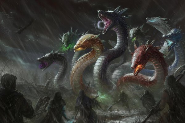 Kraken 13at