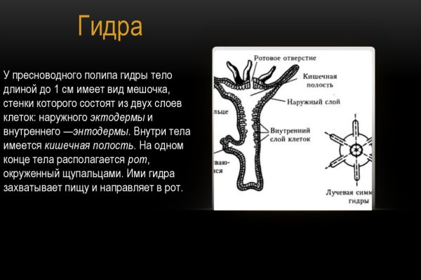 Kraken даркнет переходник